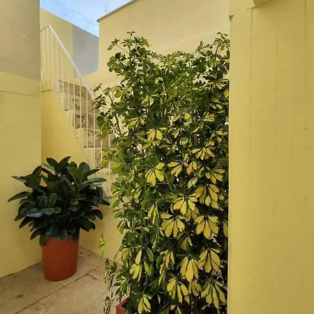 Konukevi Twin Apulia - Centro *